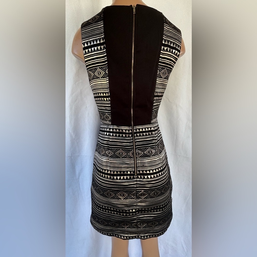 Chic Geometric Patterned Mini Dress - Picture 6 of 12